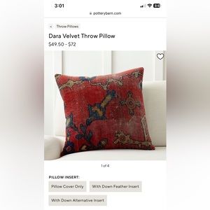 Pottery Barn Dara Pillow Cover 22” square